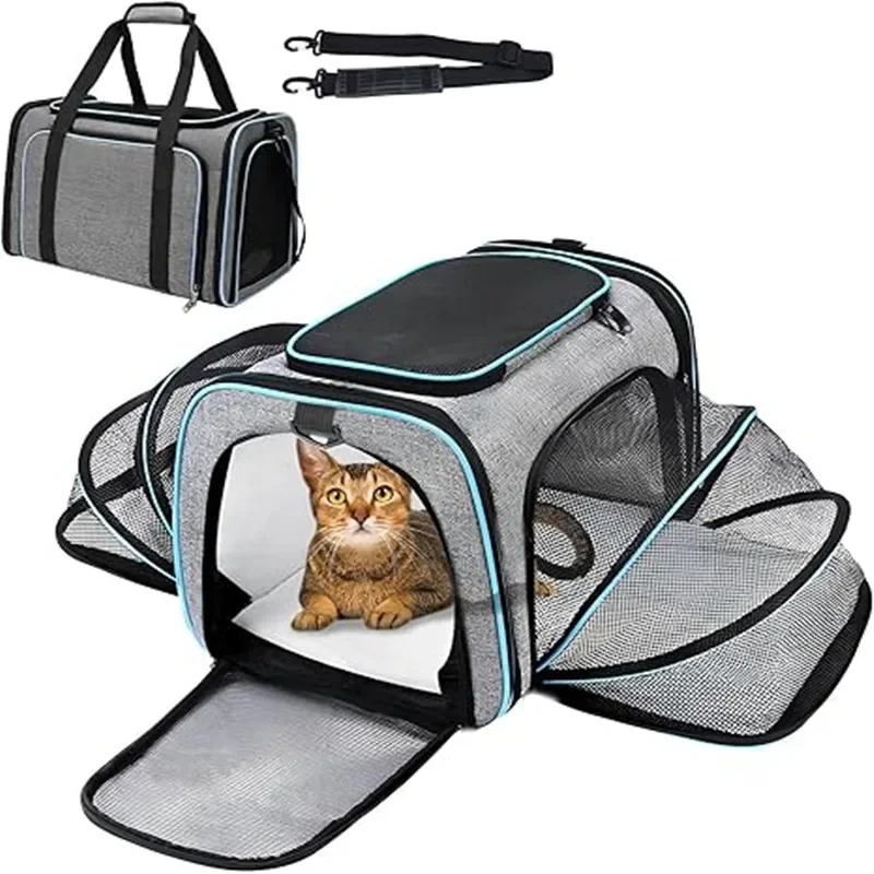 Taşınabilir, Nefes Alabilen, K - Foldable Backpack Small incelemesi ve fiyatı