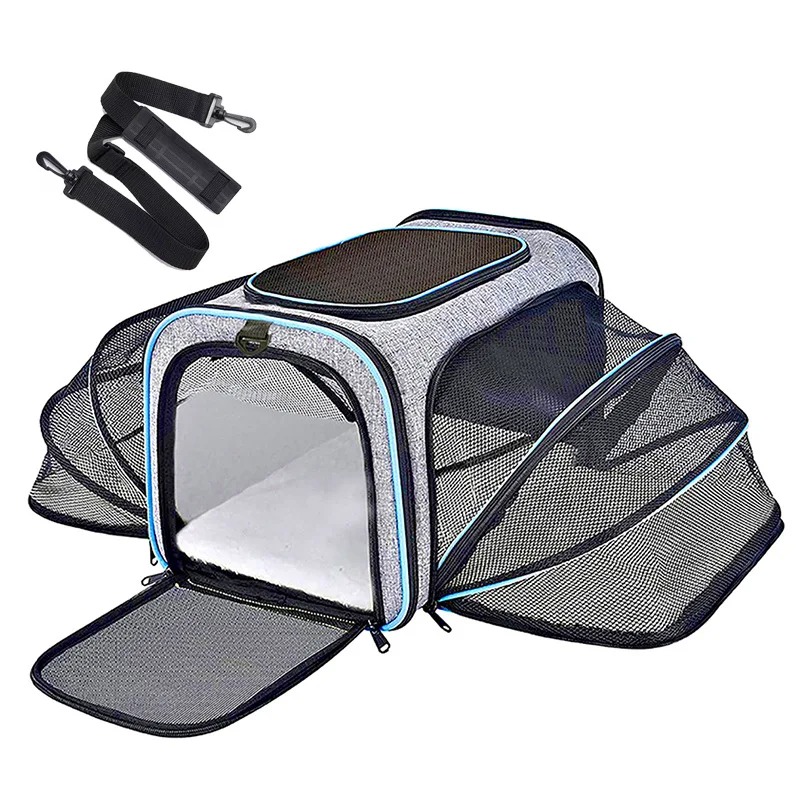 Taşınabilir, Nefes Alabilen, K - Foldable Backpack Small incelemesi ve fiyatı