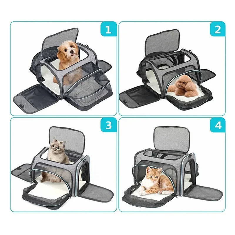 Taşınabilir, Nefes Alabilen, K - Foldable Backpack Small incelemesi ve fiyatı
